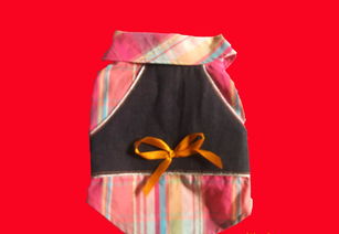 青島、威海、上海高檔寵物服飾用品供應(yīng)全解析